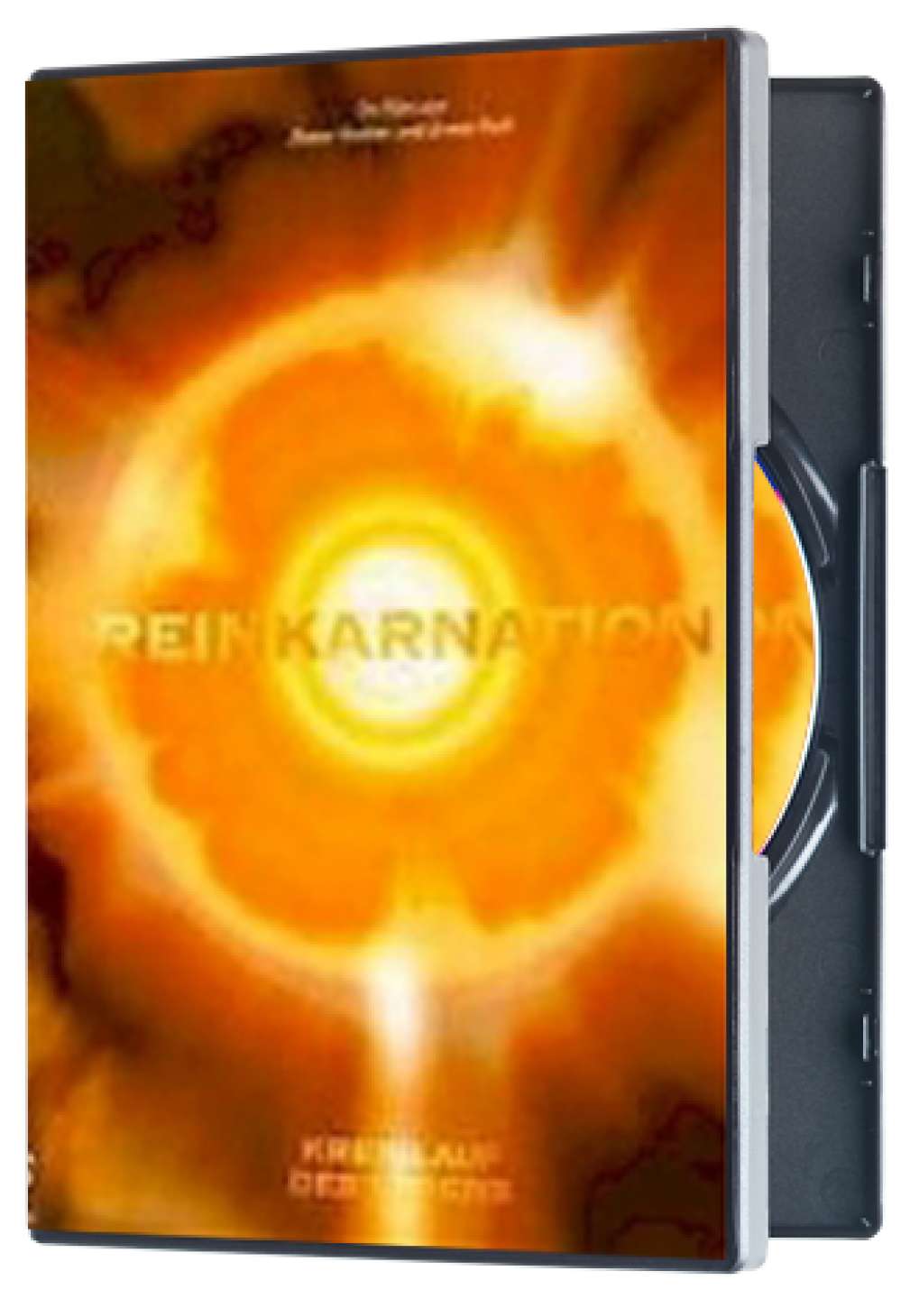 DVD "Reinkarnation - Kreislauf des Lebens"